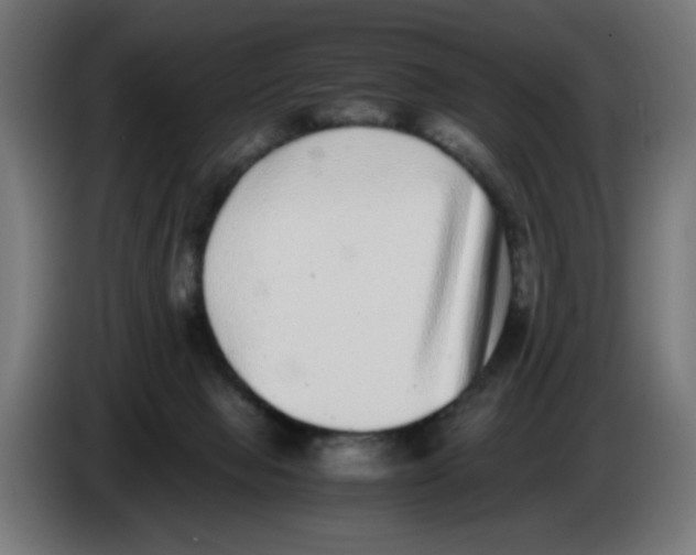 X0000086110077200704132218