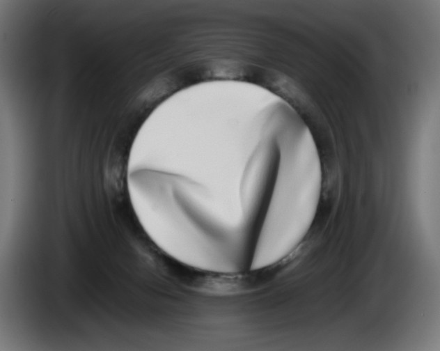 X0000086110078200704132218