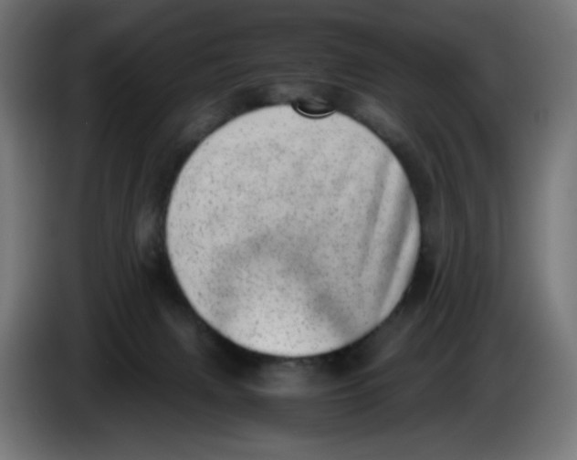 X0000086110079200704132218