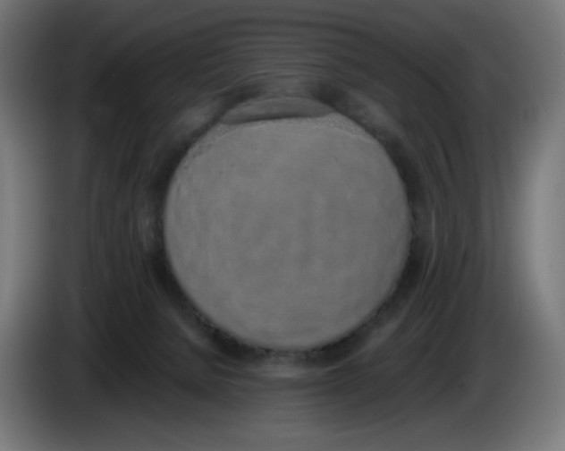 X0000086110080200704132218