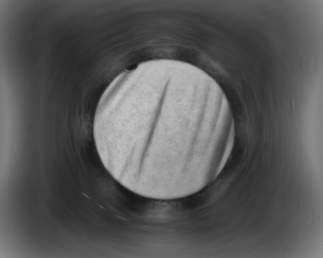 X0000086110083200704132218