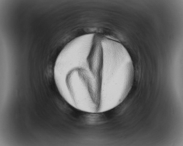 X0000086110085200704132218