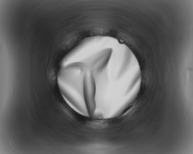 X0000086110086200704132218