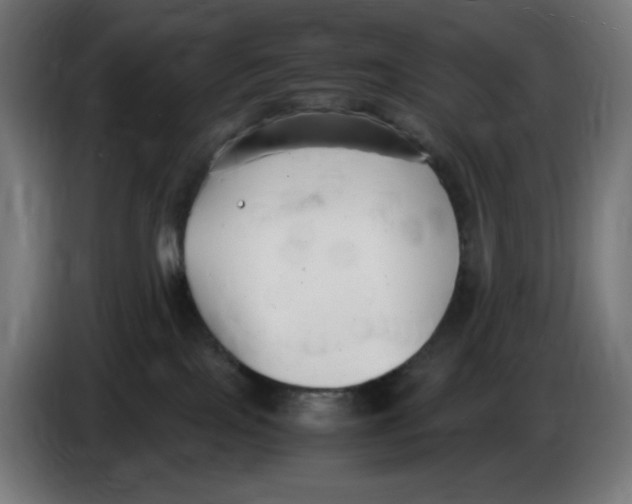 X0000086110089200704132218