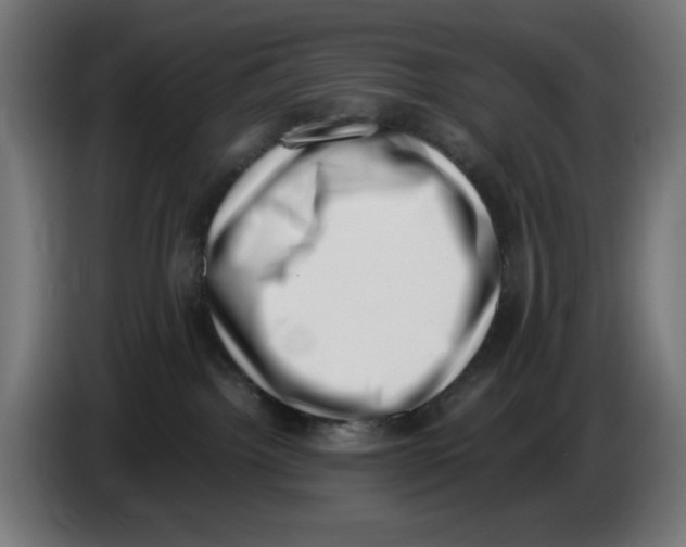 X0000086110092200704132218