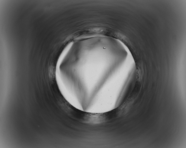 X0000086110093200704132218