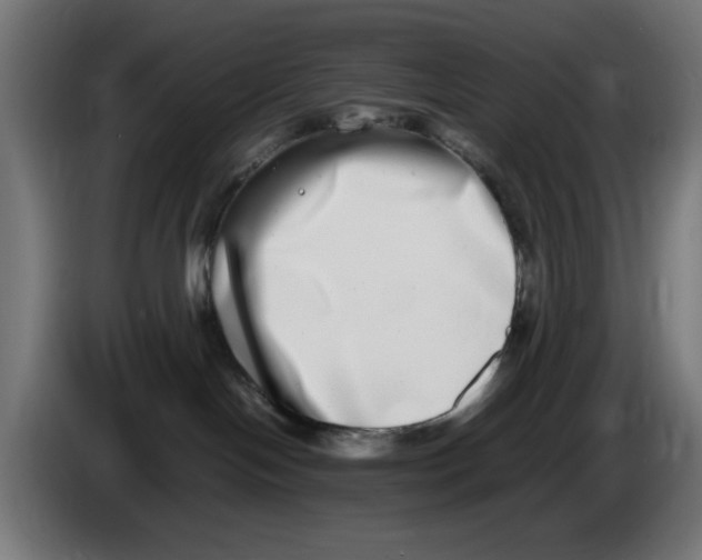 X0000086110094200704132218