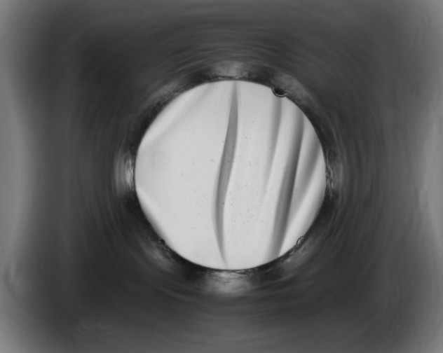 X0000086110095200704132218