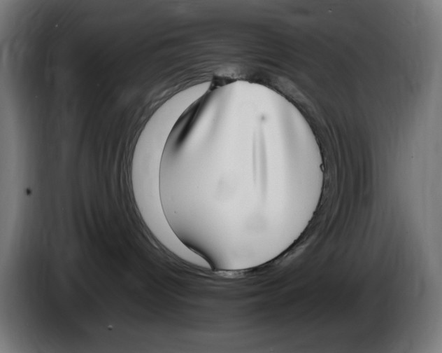 X0000086110096200704132218