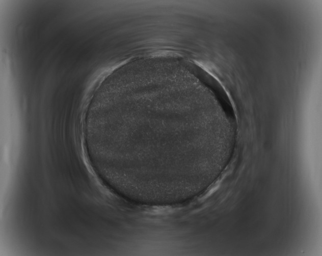 X0000086110097200704132218