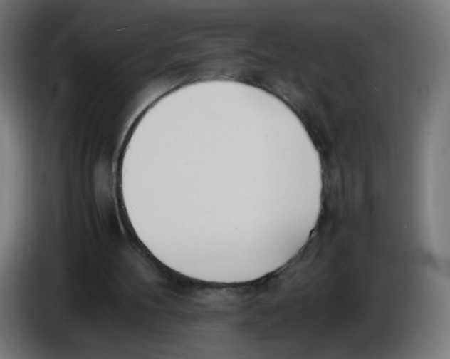 X0000086110100200704132218