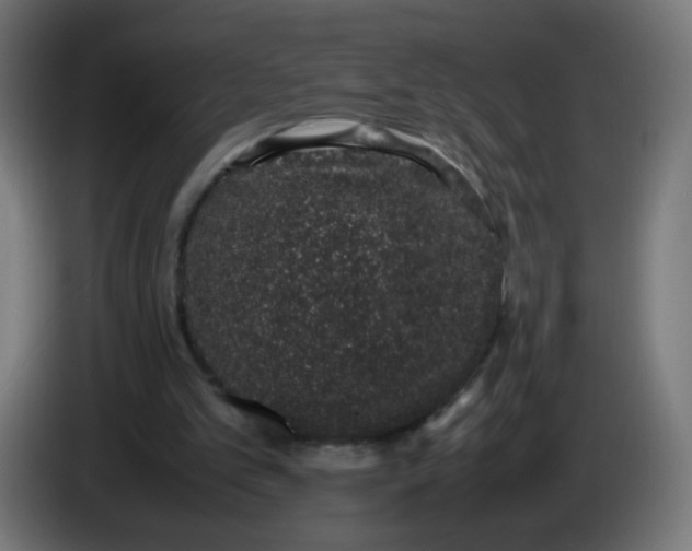 X0000086110101200704132218