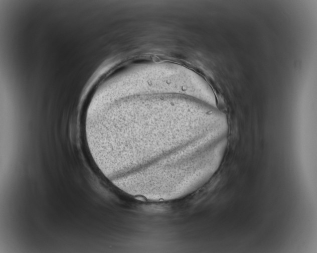 X0000086110102200704132218