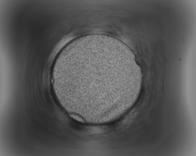 X0000086110103200704132218