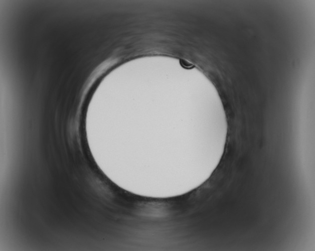 X0000086110104200704132218