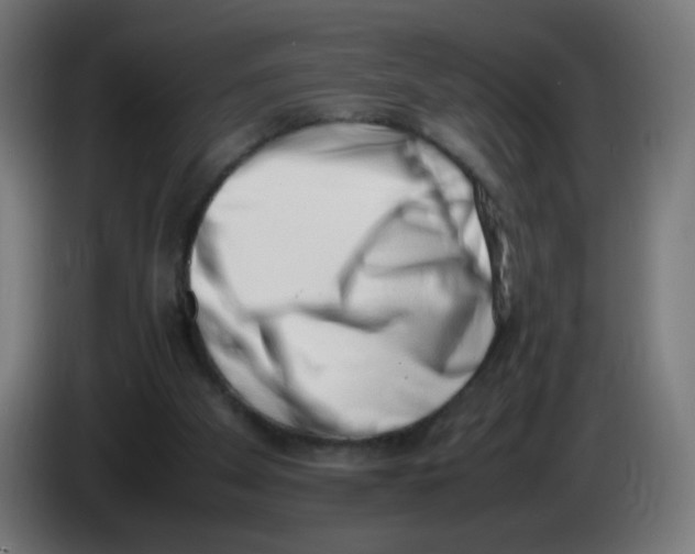 X0000086110105200704132218