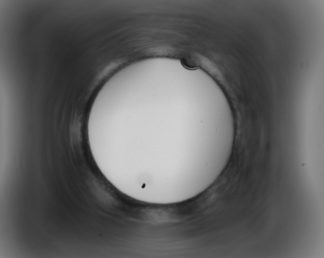 X0000086110106200704132218