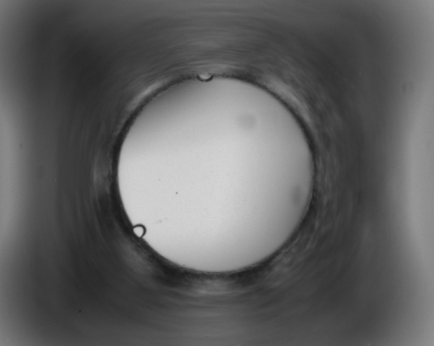 X0000086110107200704132218