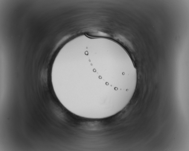 X0000086110108200704132218