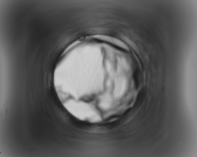 X0000086110109200704132218