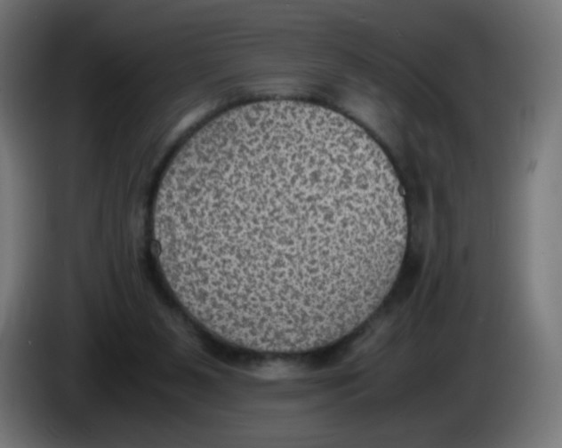 X0000086110111200704132217