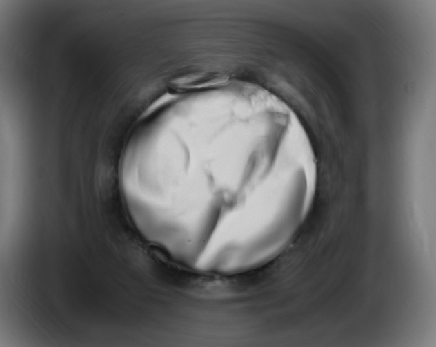 X0000086110113200704132217