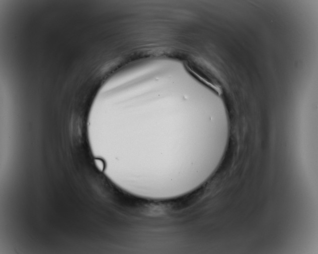 X0000086110115200704132217