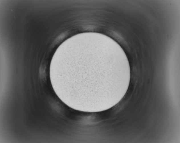 X0000086110116200704132217