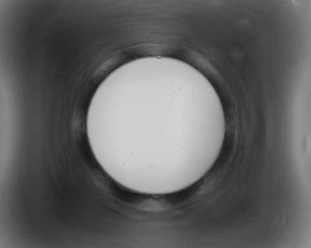 X0000086110119200704132217