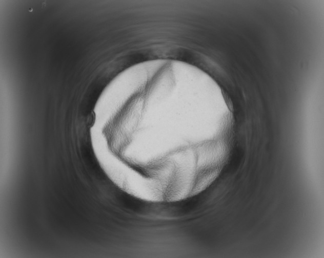 X0000086110121200704132217