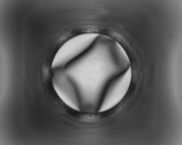 X0000086110123200704132217