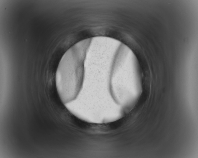 X0000086110125200704132217