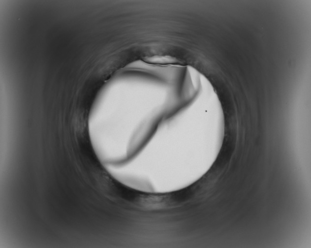 X0000086110129200704132217