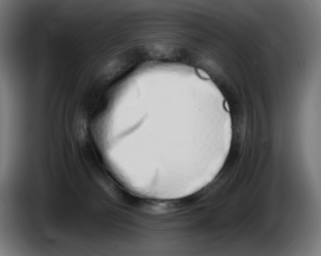 X0000086110130200704132217