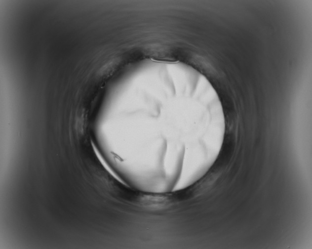 X0000086110133200704132217