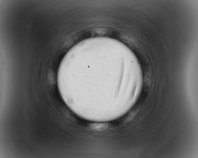 X0000086110135200704132217