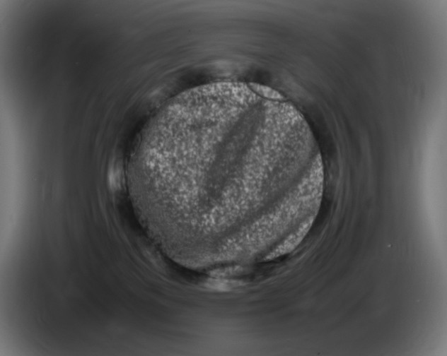 X0000086110137200704132217