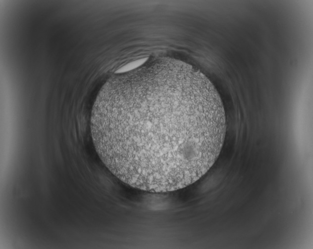 X0000086110139200704132217