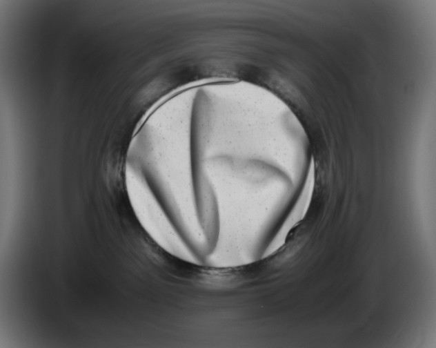 X0000086110141200704132217