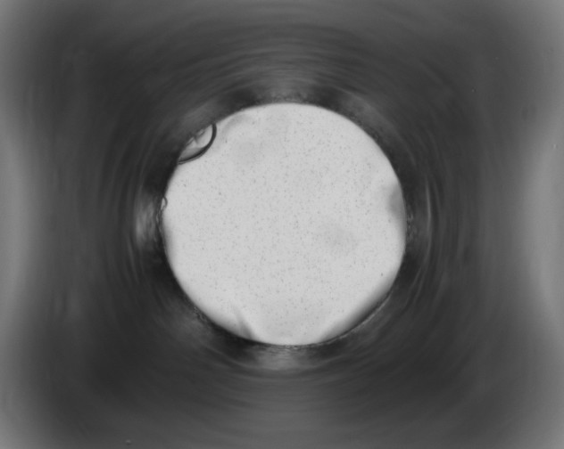 X0000086110142200704132217