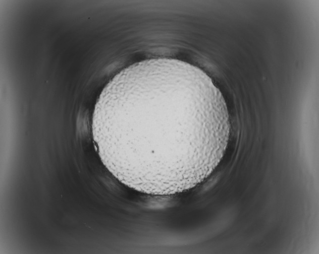 X0000086110143200704132217