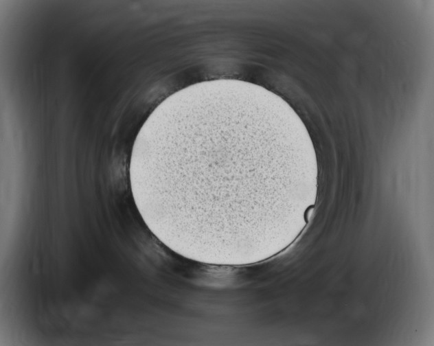 X0000086110144200704132217