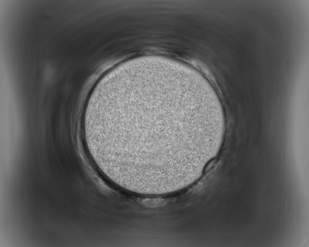 X0000086110145200704132216