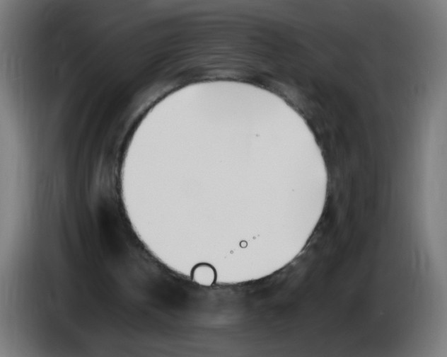 X0000086110146200704132216