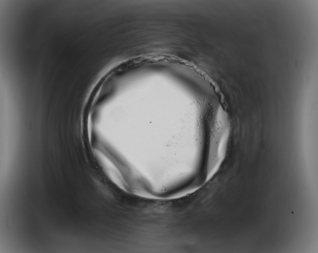 X0000086110148200704132216