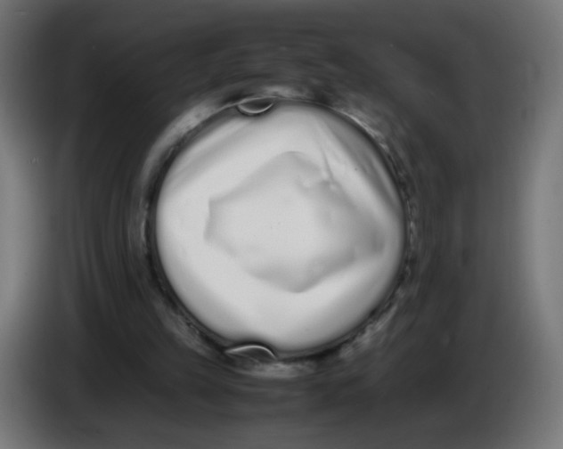 X0000086110149200704132216