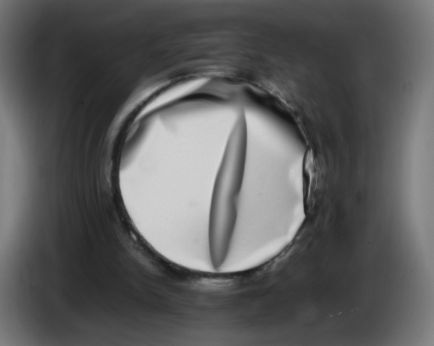 X0000086110150200704132216