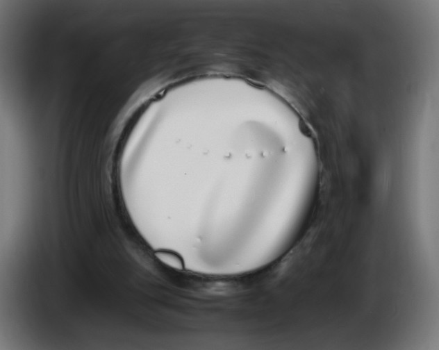 X0000086110151200704132216