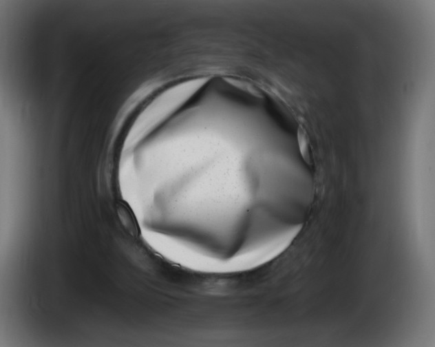 X0000086110152200704132216