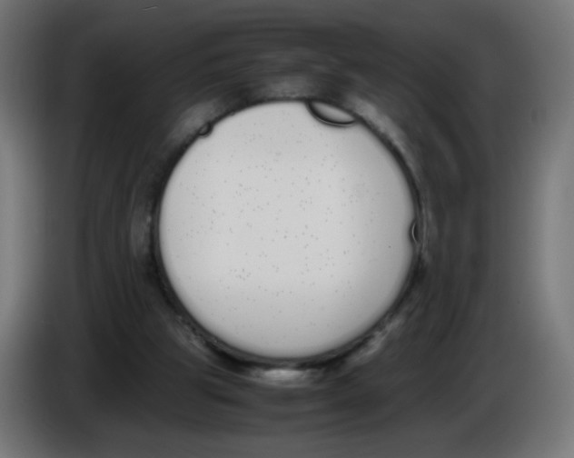 X0000086110153200704132216